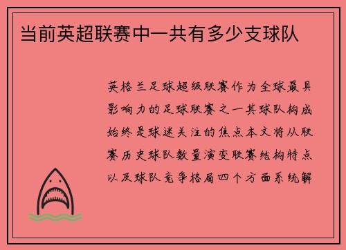 当前英超联赛中一共有多少支球队