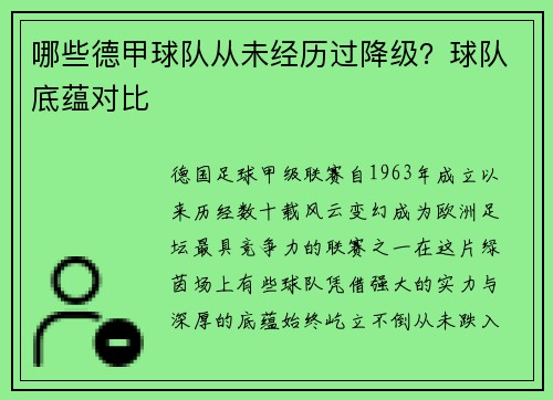 哪些德甲球队从未经历过降级？球队底蕴对比